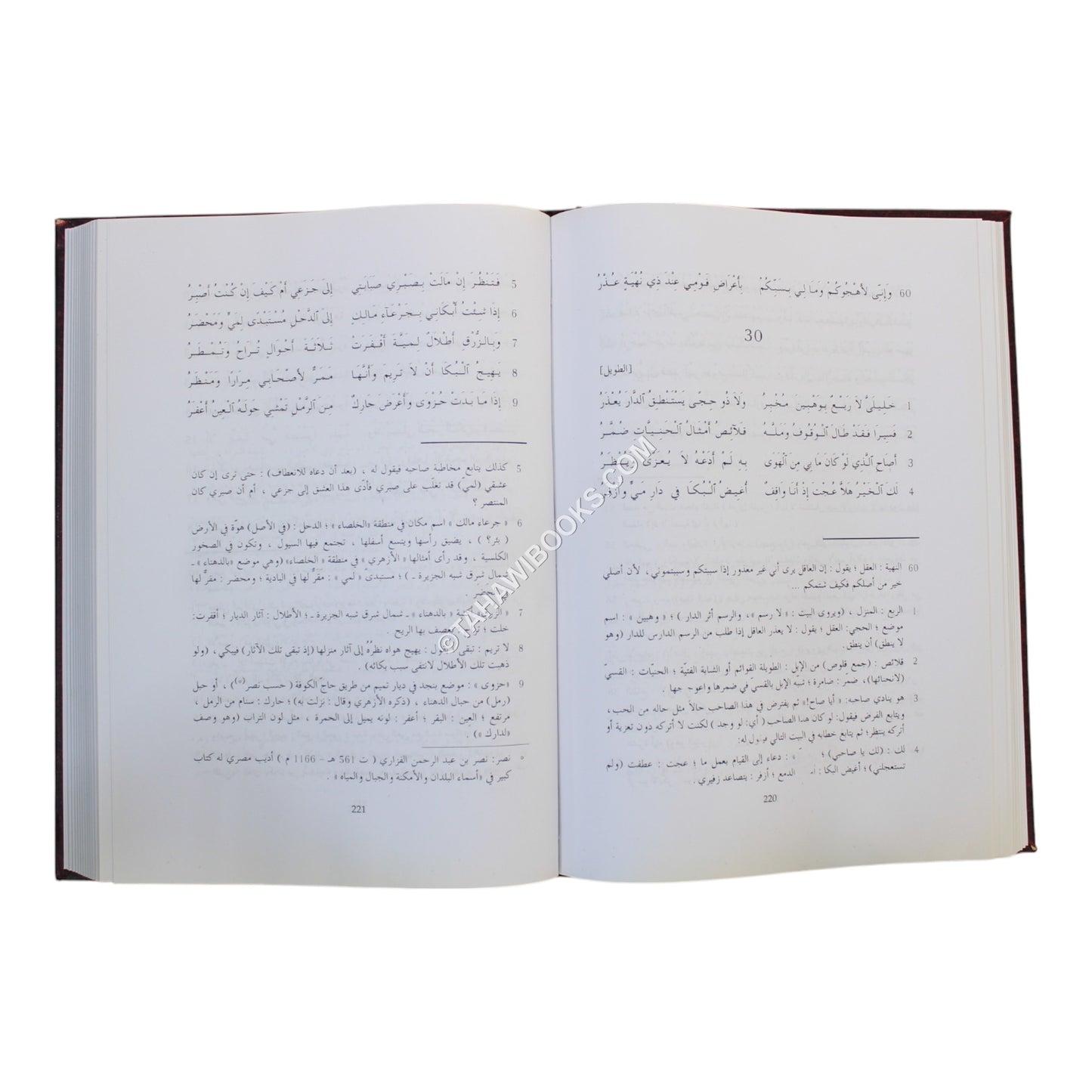 ديوان ذي الرمة