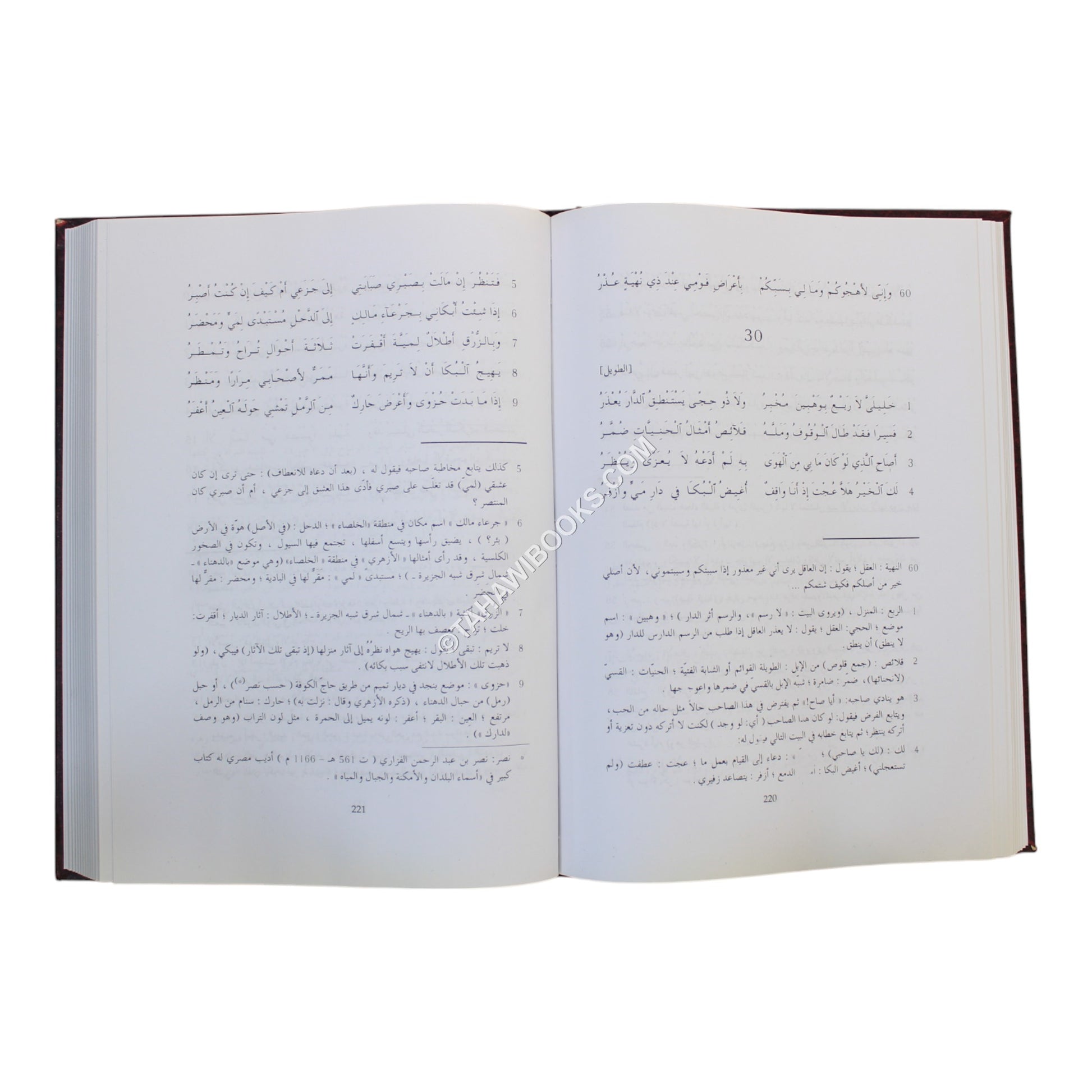 ديوان ذي الرمة