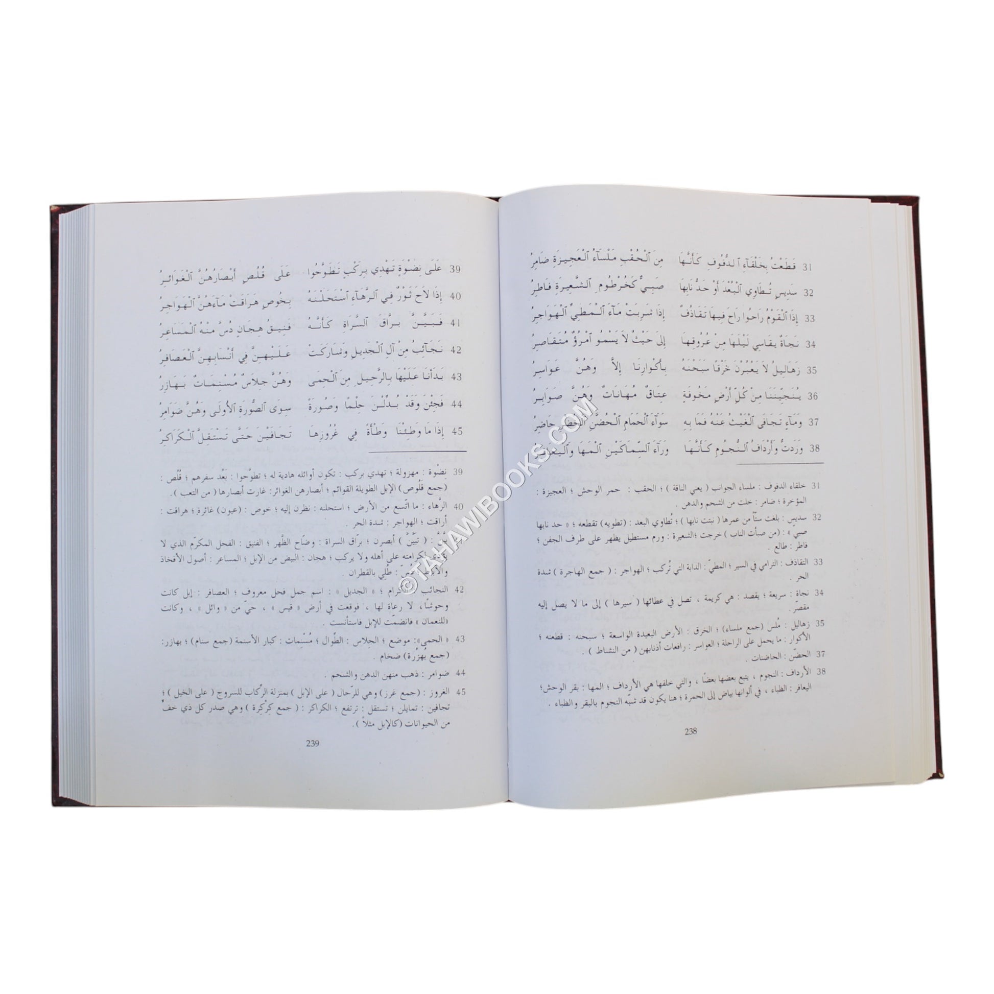 ديوان ذي الرمة