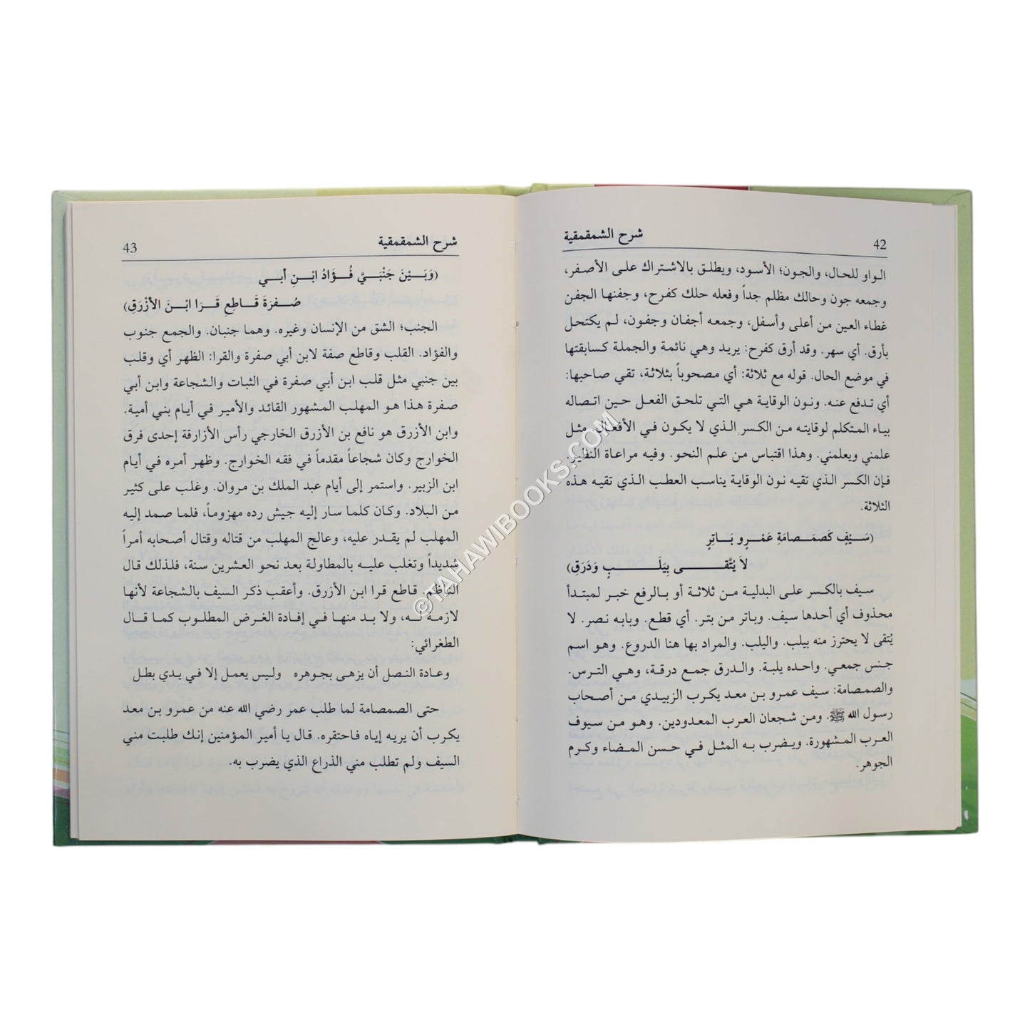 شرح الشمقمقية-وسط