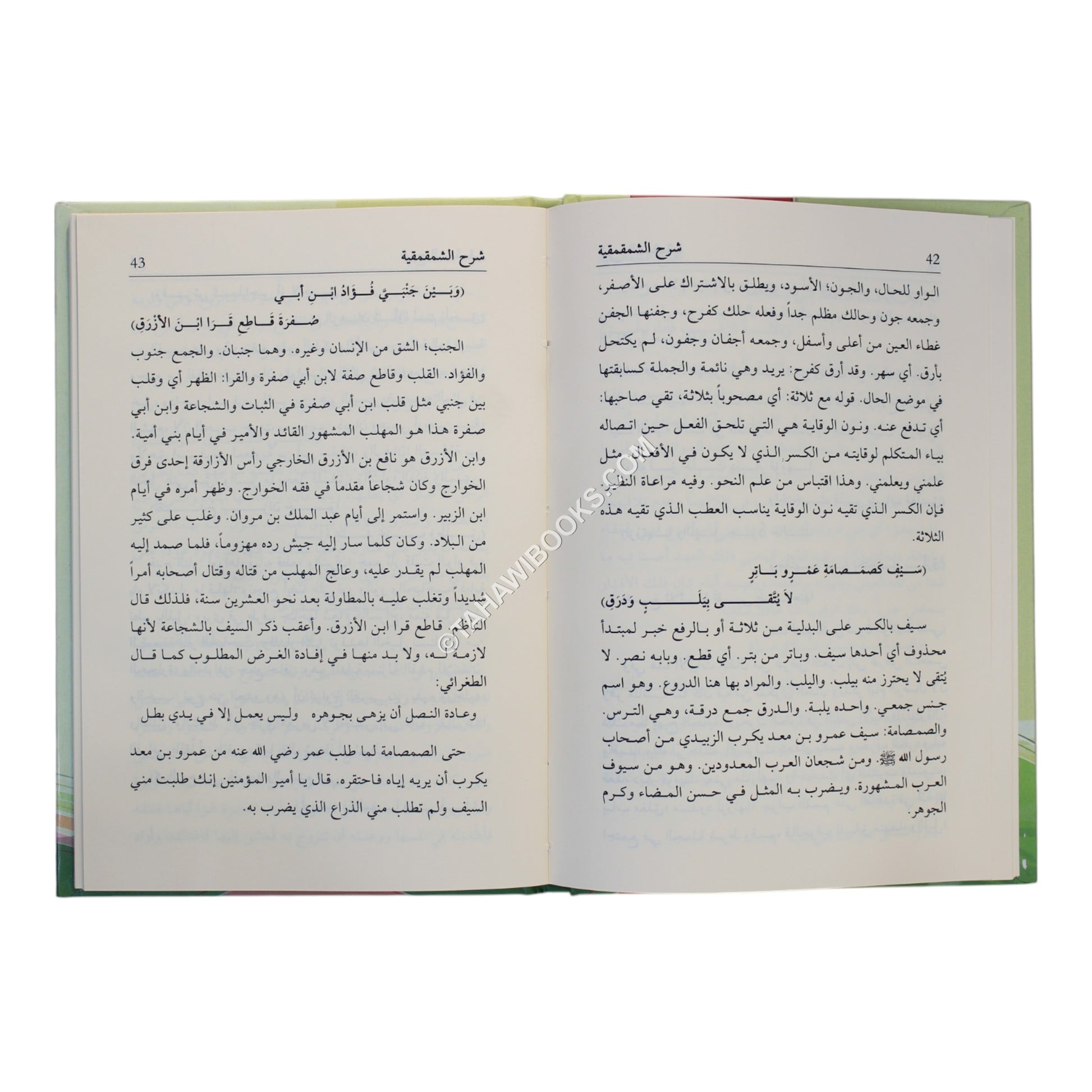 شرح الشمقمقية-وسط