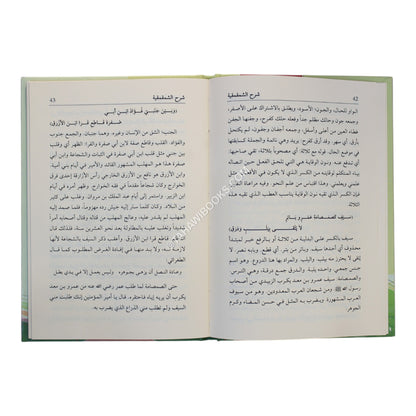 شرح الشمقمقية-وسط