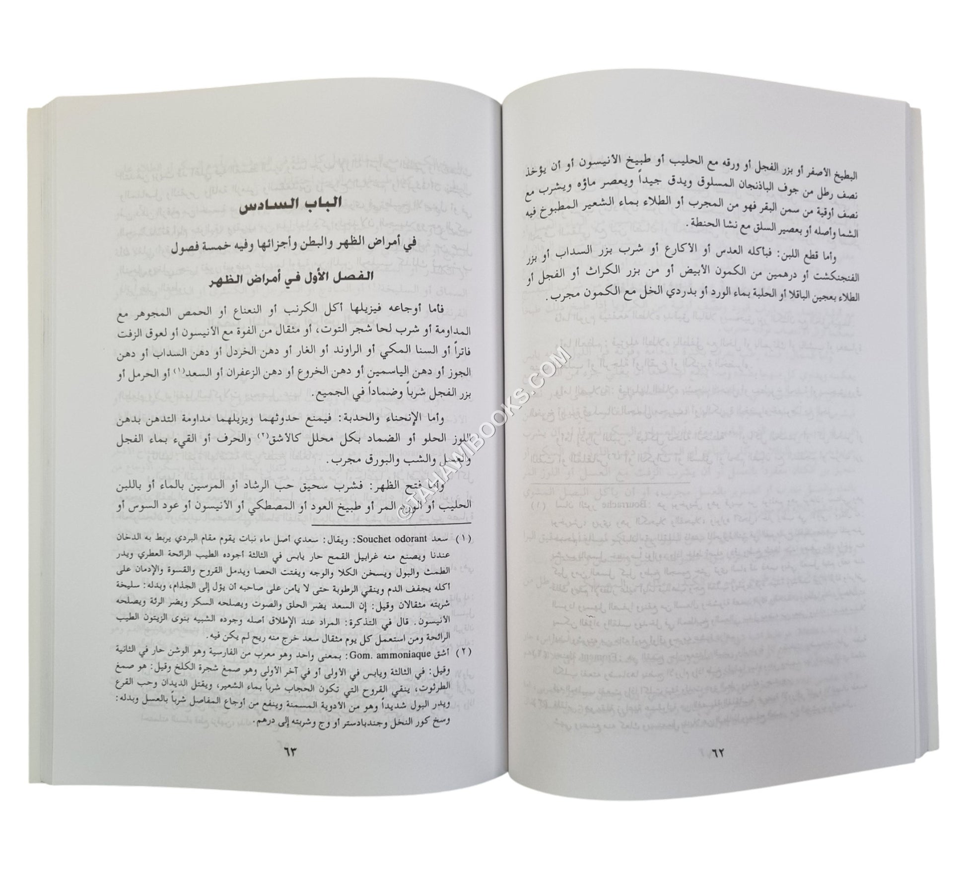 تذكرة القليوبي في الطب والحكمة ويليه :الرحمة في الطب والحكمة للصنبري