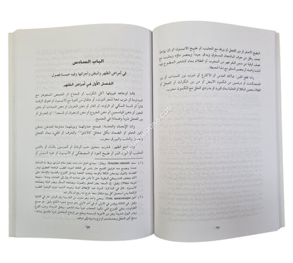 تذكرة القليوبي في الطب والحكمة ويليه :الرحمة في الطب والحكمة للصنبري