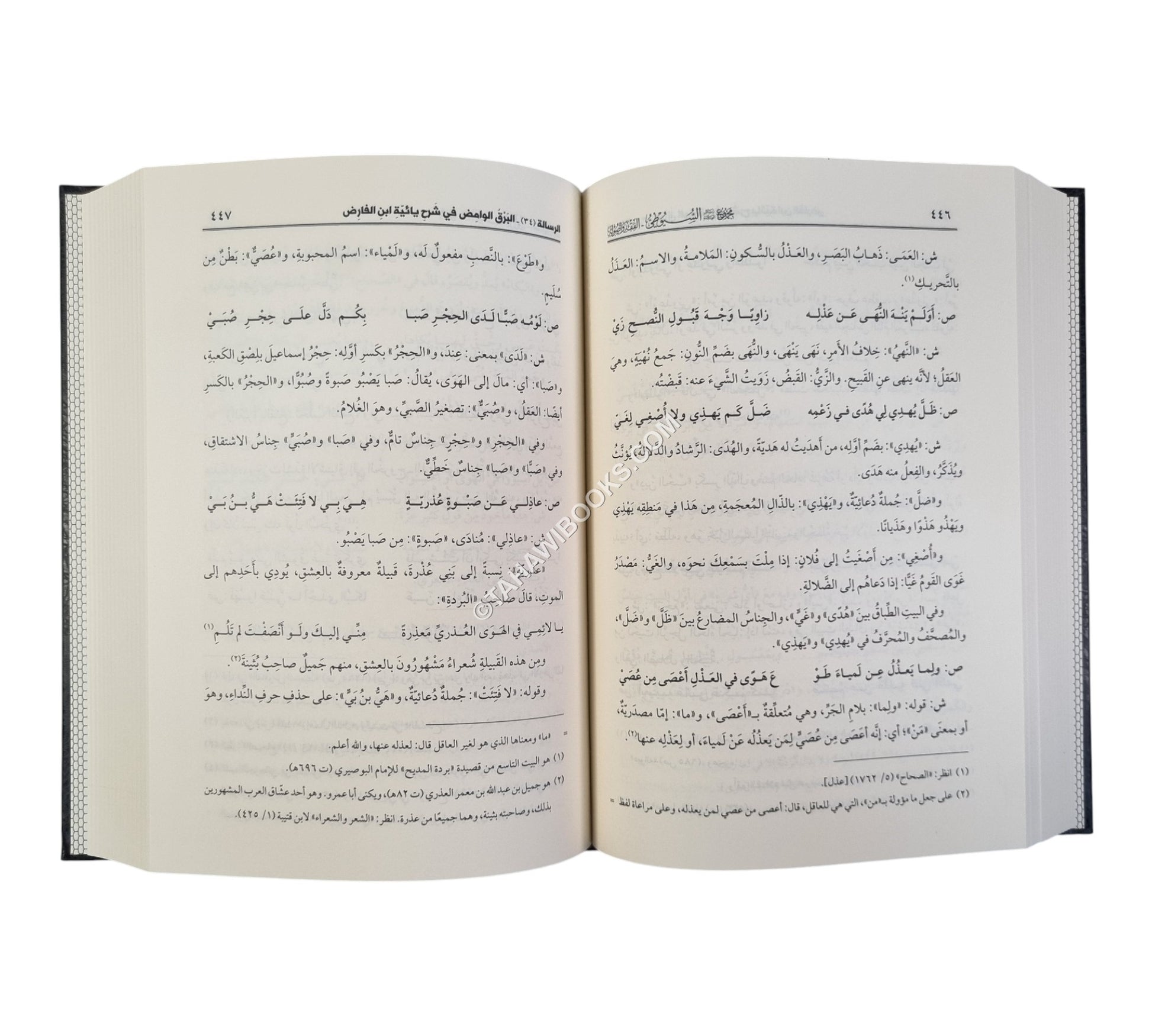 مجموع رسائل السيوطي ـ المجموعة الثالثة ـ الفقه وأصول الدين