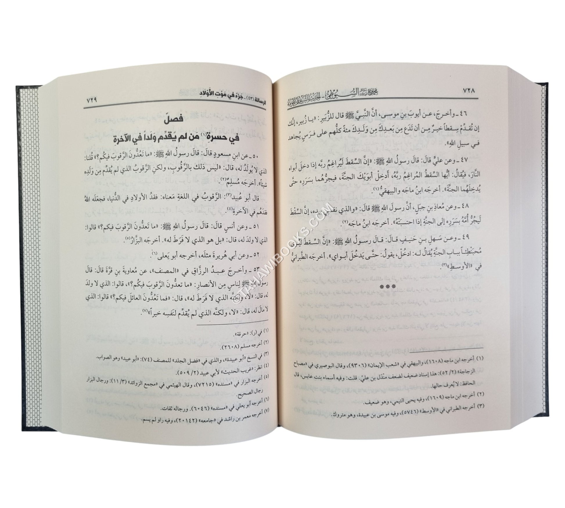 مجموع رسائل السيوطي ـ المجموعة الثانية ـ الحديث الشريف وعلومه
