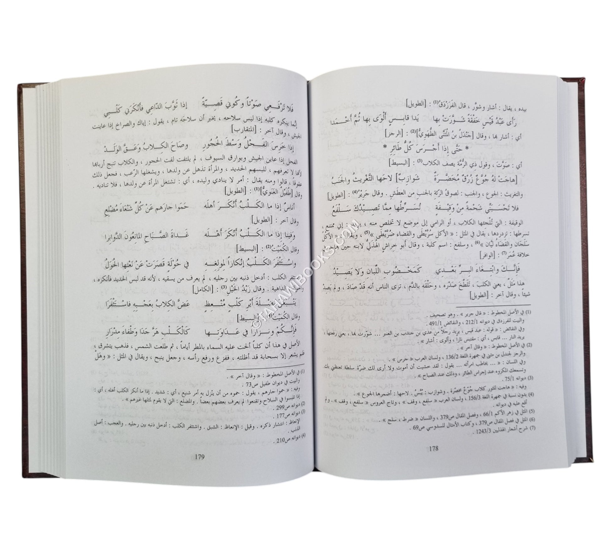 المعاني الكبير