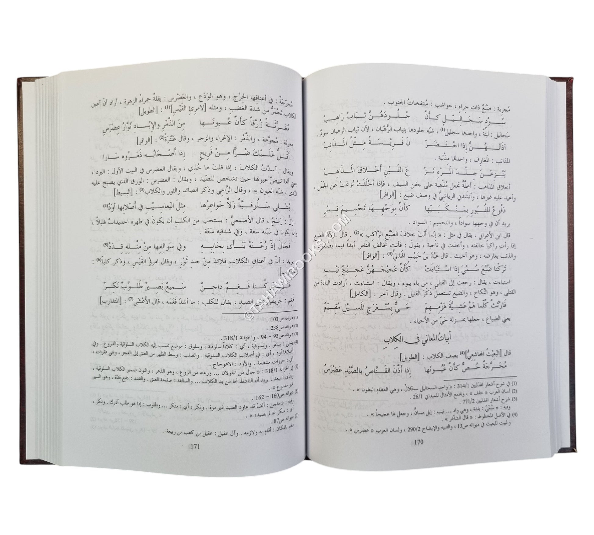 المعاني الكبير