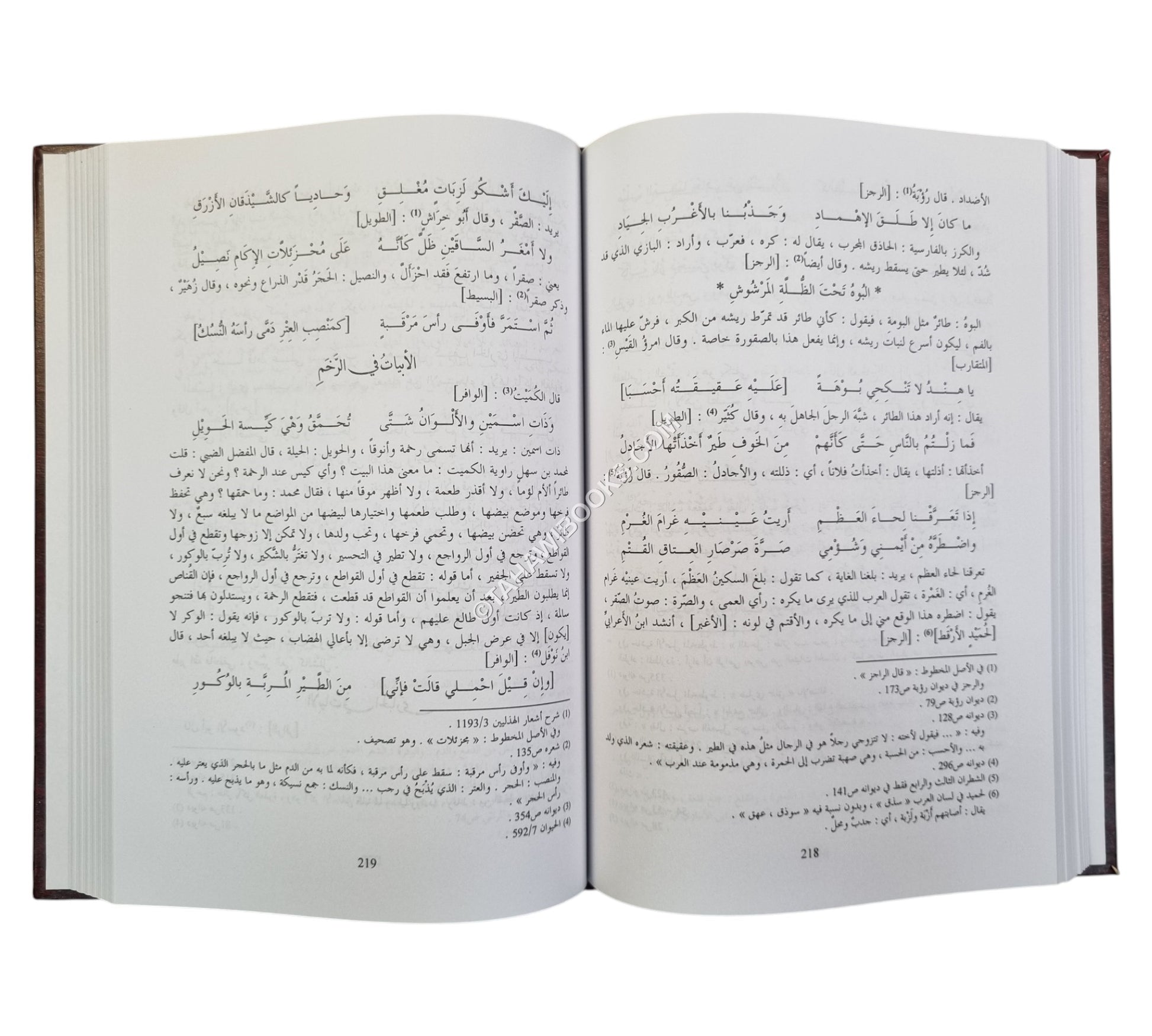 المعاني الكبير
