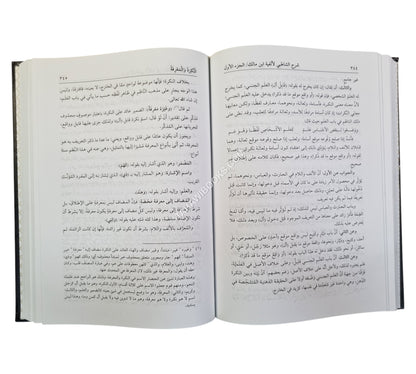 شرح الشاطبي لألفية ابن مالك:المقاصد الشافية في شرح الخلاصة الكافية