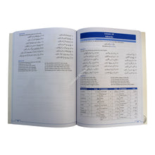 First Steps to Understanding Urdu