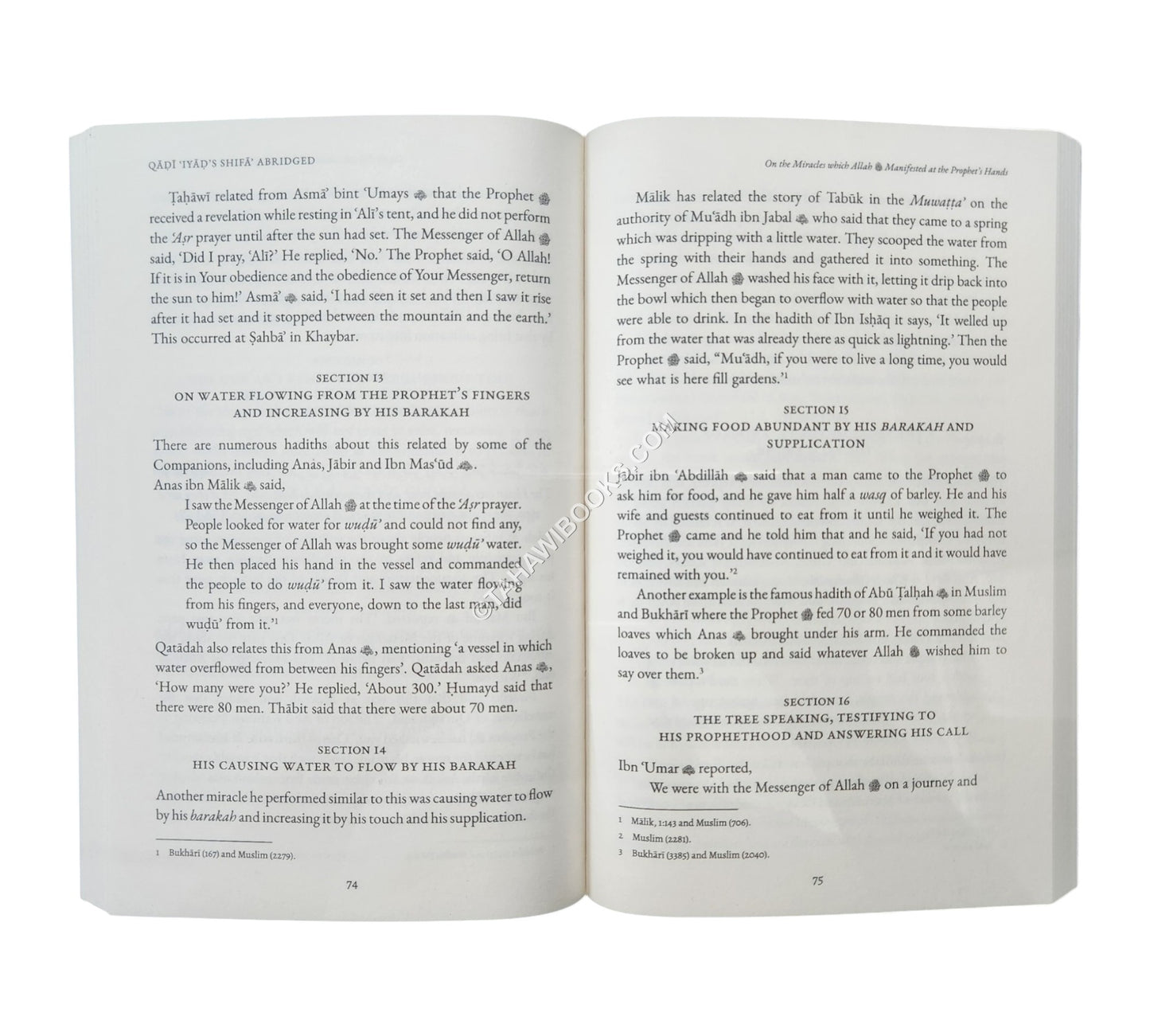 Qadi Iyad’s Shifa Abridged