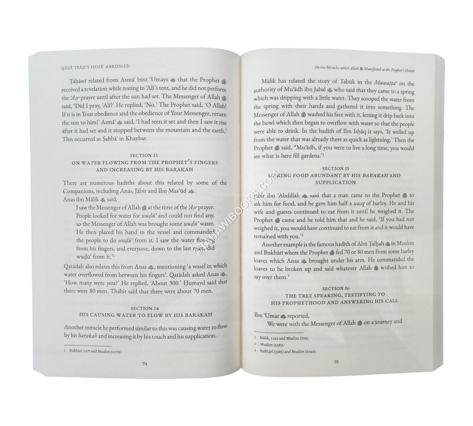 Qadi Iyad’s Shifa Abridged