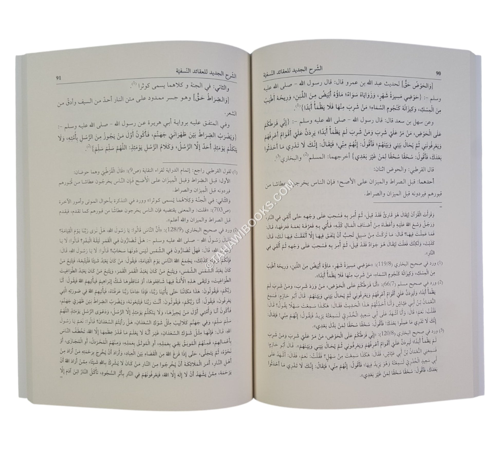 الشرح الجديد للعقائد النسفية