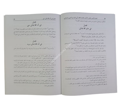 العقد الأصغر للقلب الأصغر