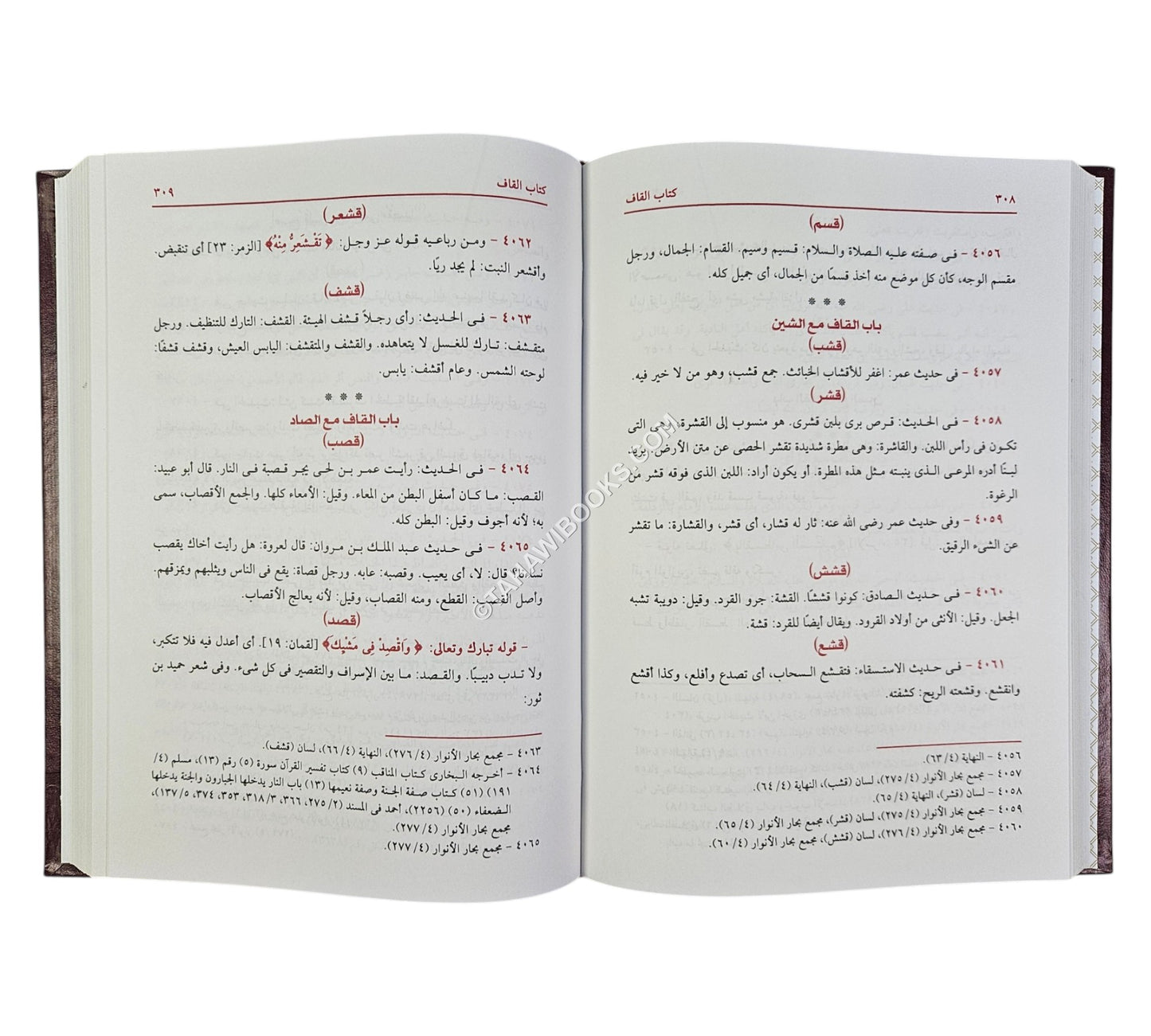 المغيث في غريبي القرآن والحديث