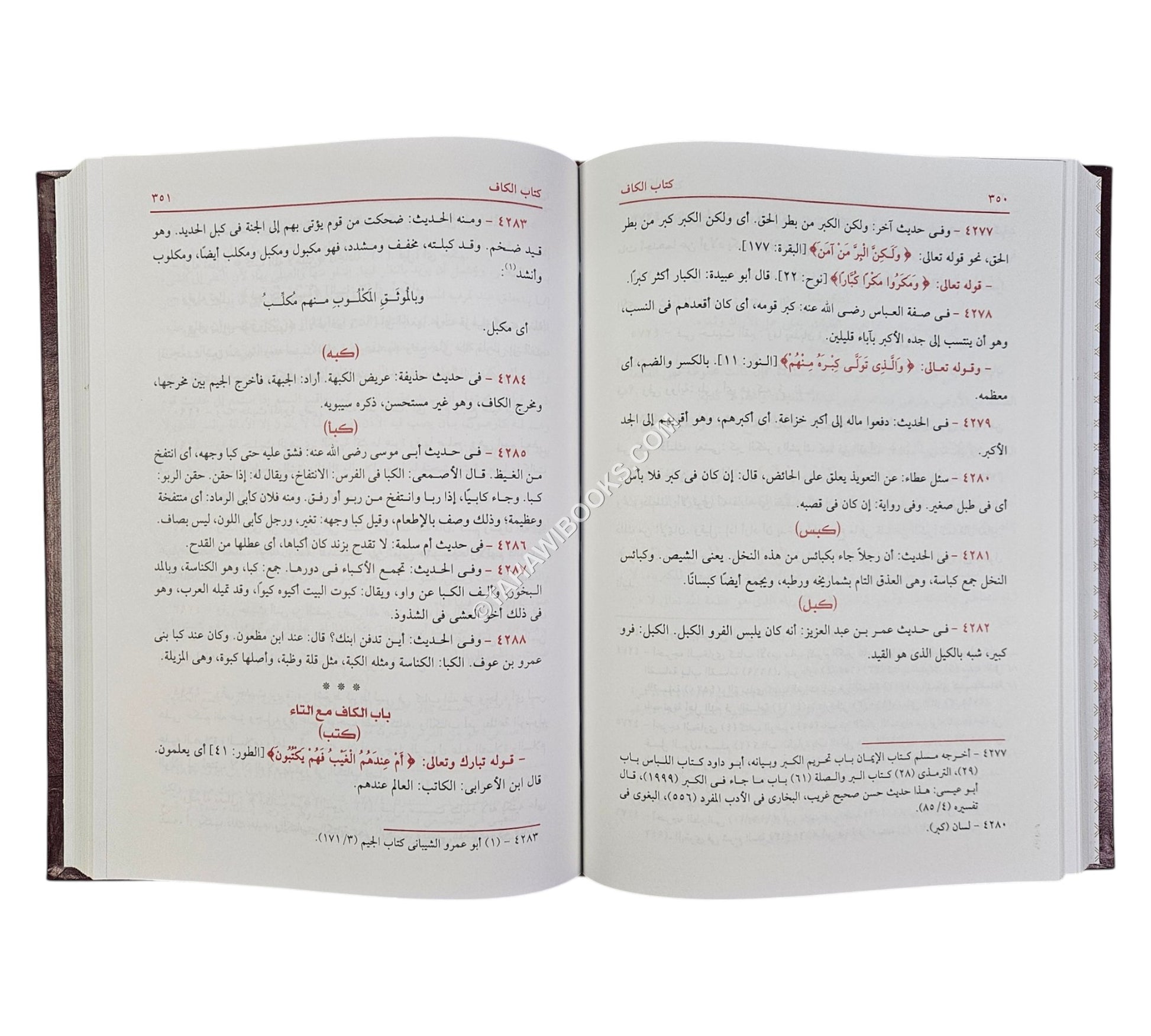 المغيث في غريبي القرآن والحديث