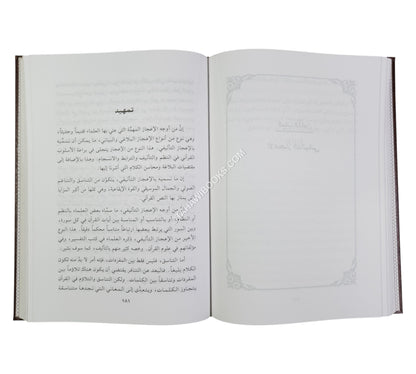 المدخل الوجيز إلى دراسة الاعجاز في الكتاب العزيز
