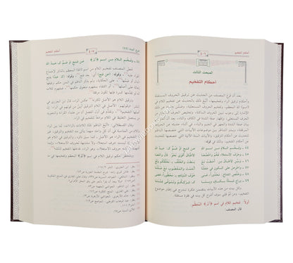 شرح المقدمة الجزرية / دراسة صوتية لغوية