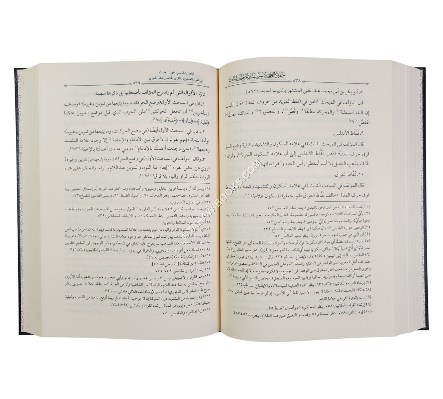 جهود العلماء في علم ضبط المصحف الشريف