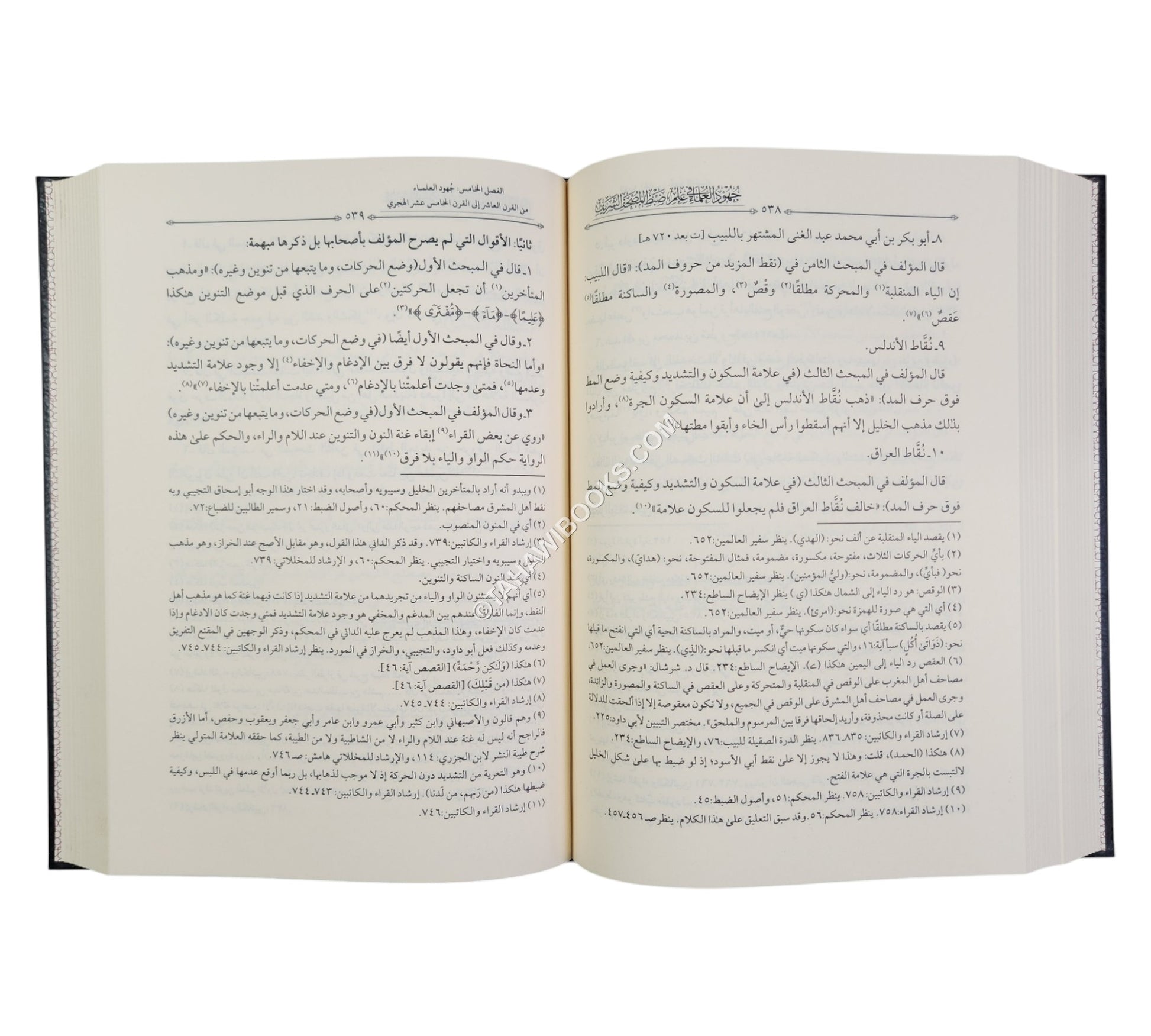 جهود العلماء في علم ضبط المصحف الشريف