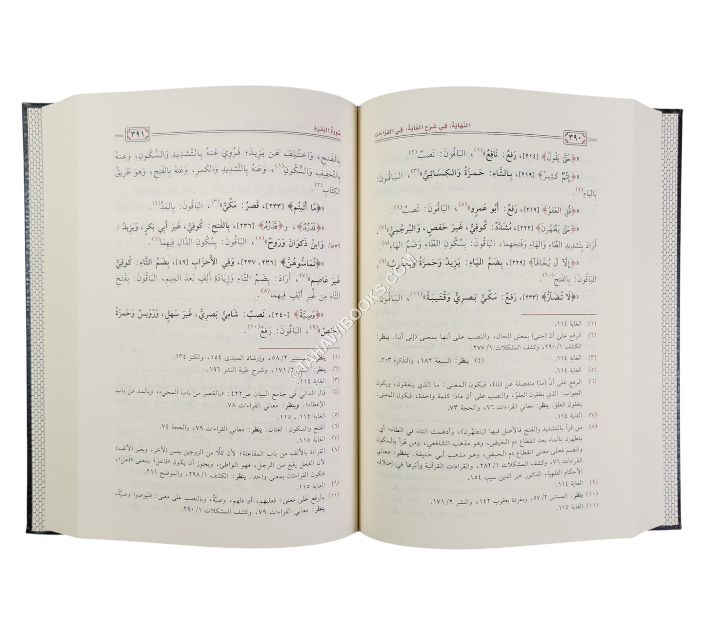 النهاية في شرح الغاية في القراءات