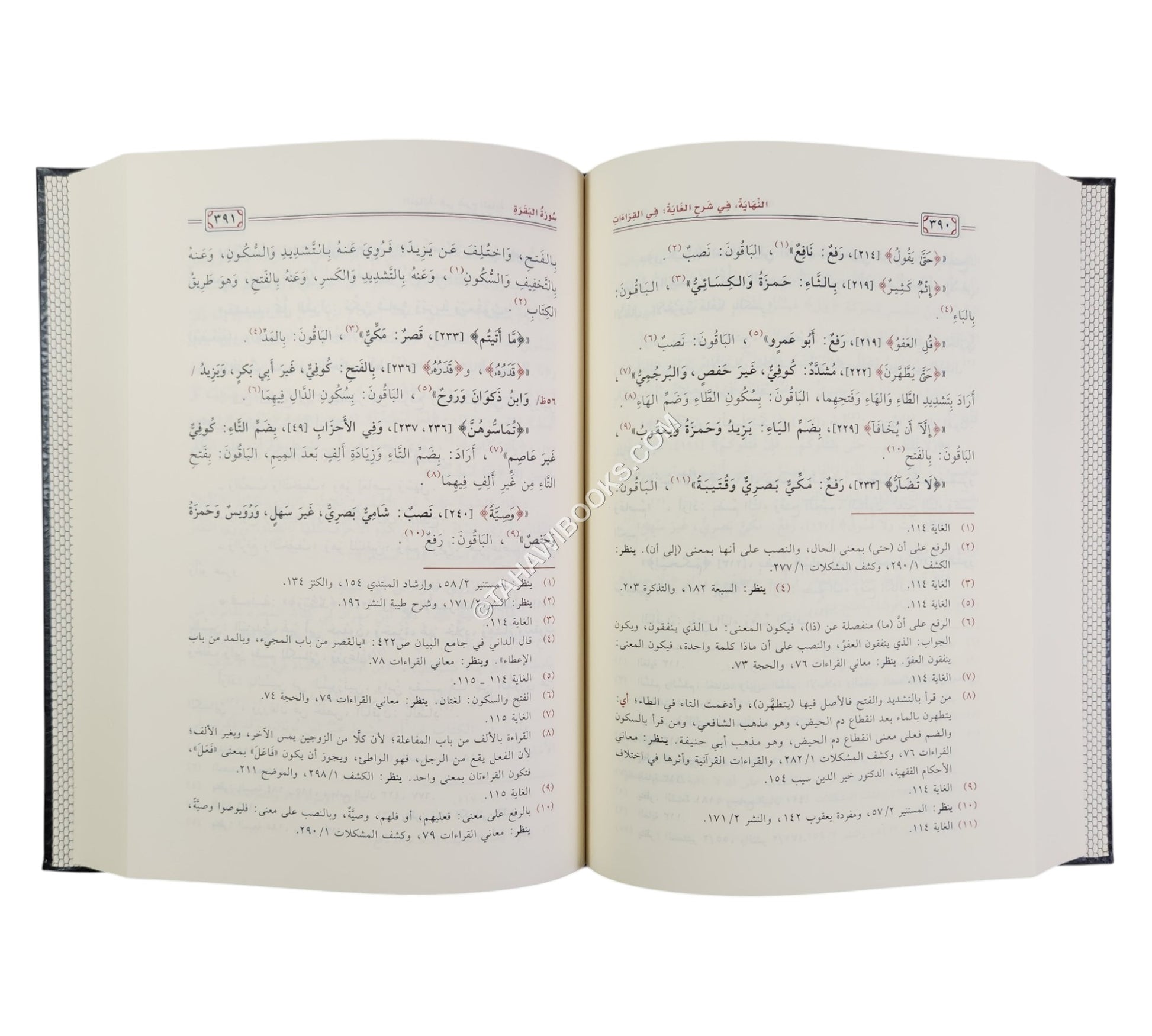 النهاية في شرح الغاية في القراءات