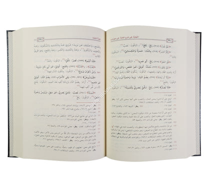 النهاية في شرح الغاية في القراءات