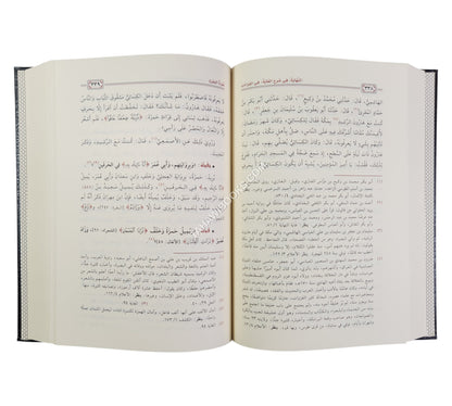 النهاية في شرح الغاية في القراءات