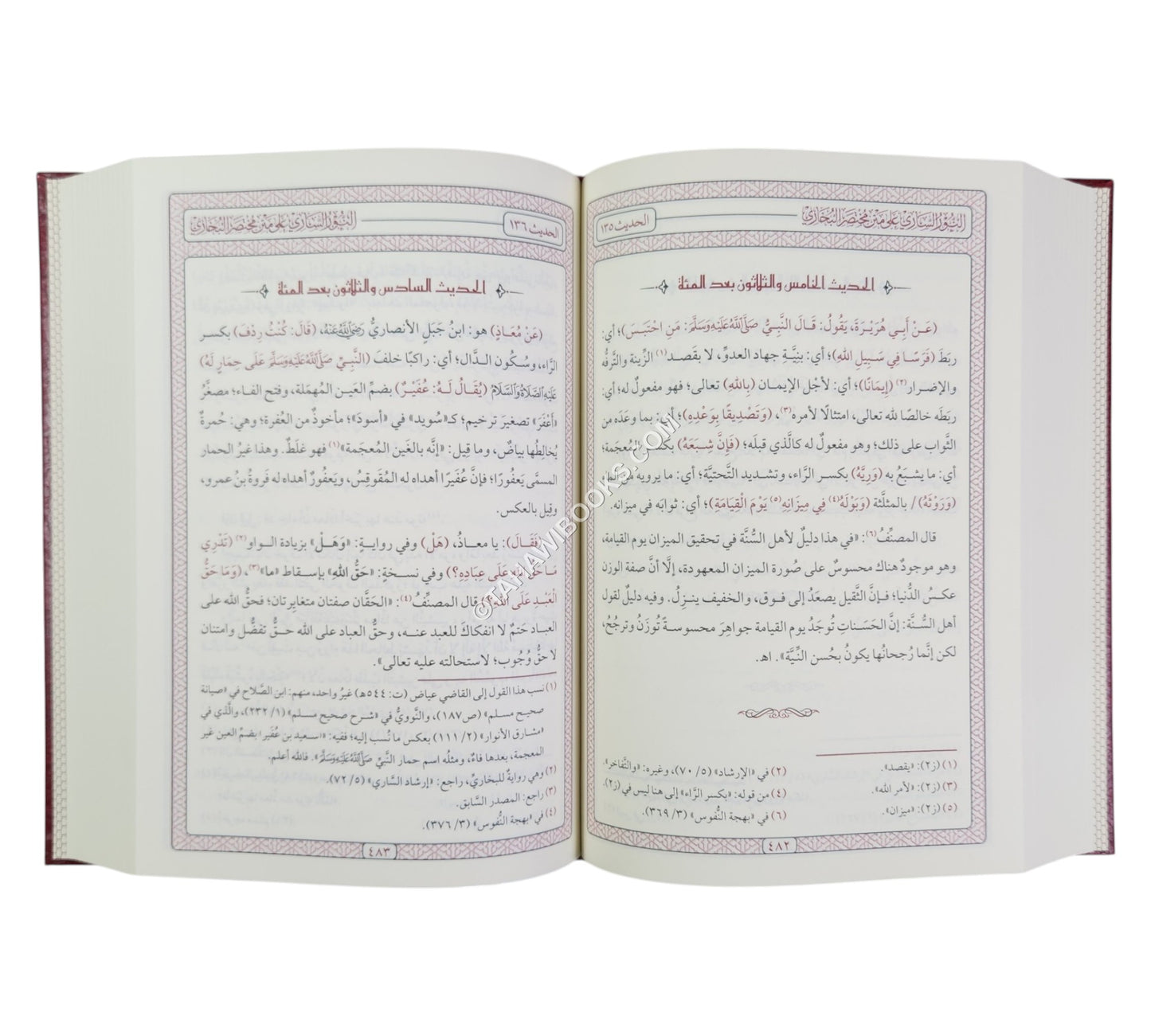 النور الساري على متن مختصر البخاري