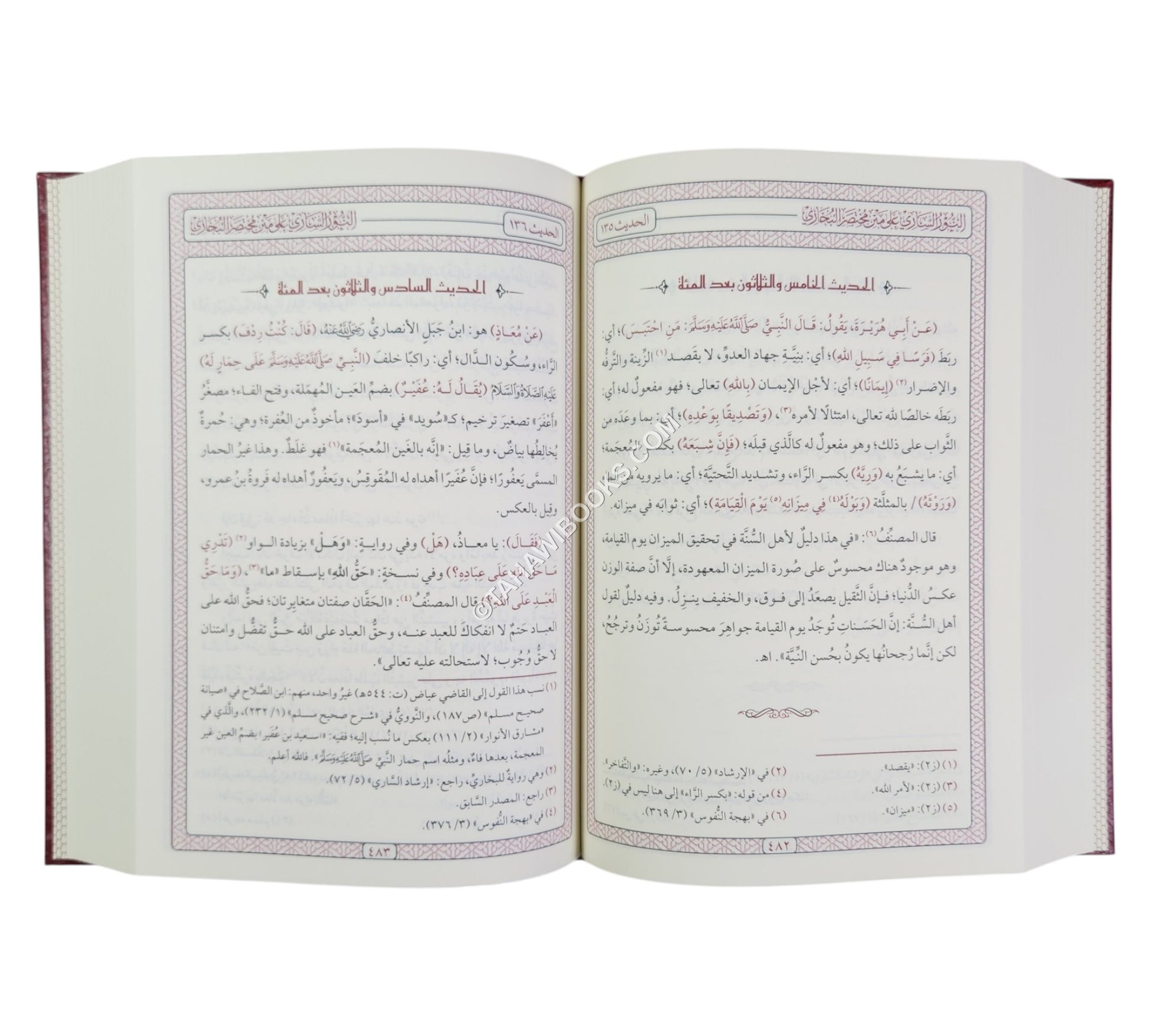 النور الساري على متن مختصر البخاري