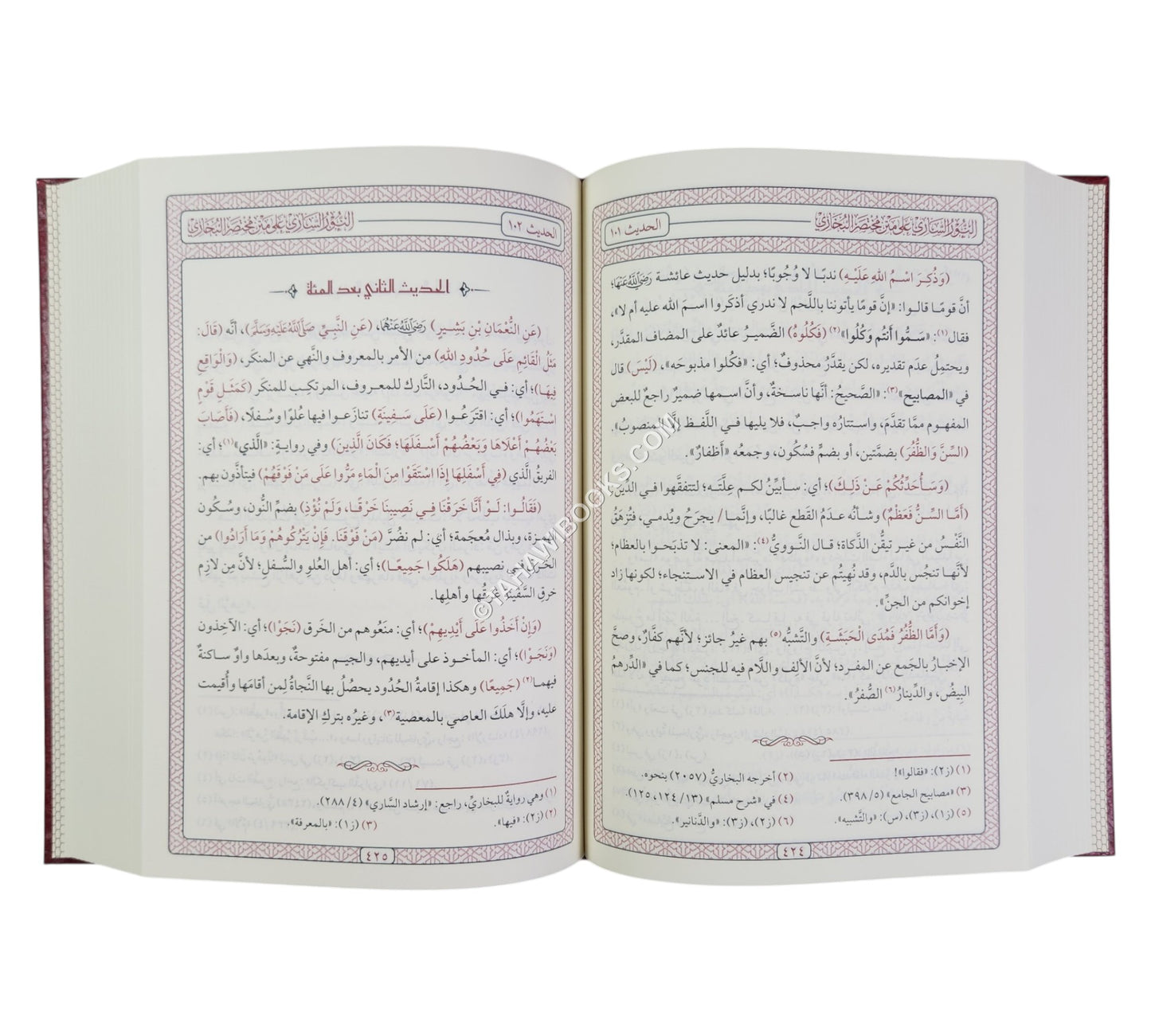 النور الساري على متن مختصر البخاري