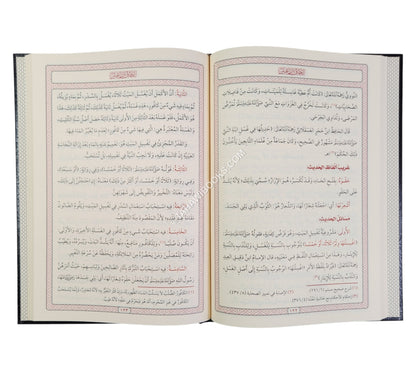 إتحاف الراغبين بشرح الأربعين وهو شرح على الأربعين في الأحكام لزكي الدين المنذري
