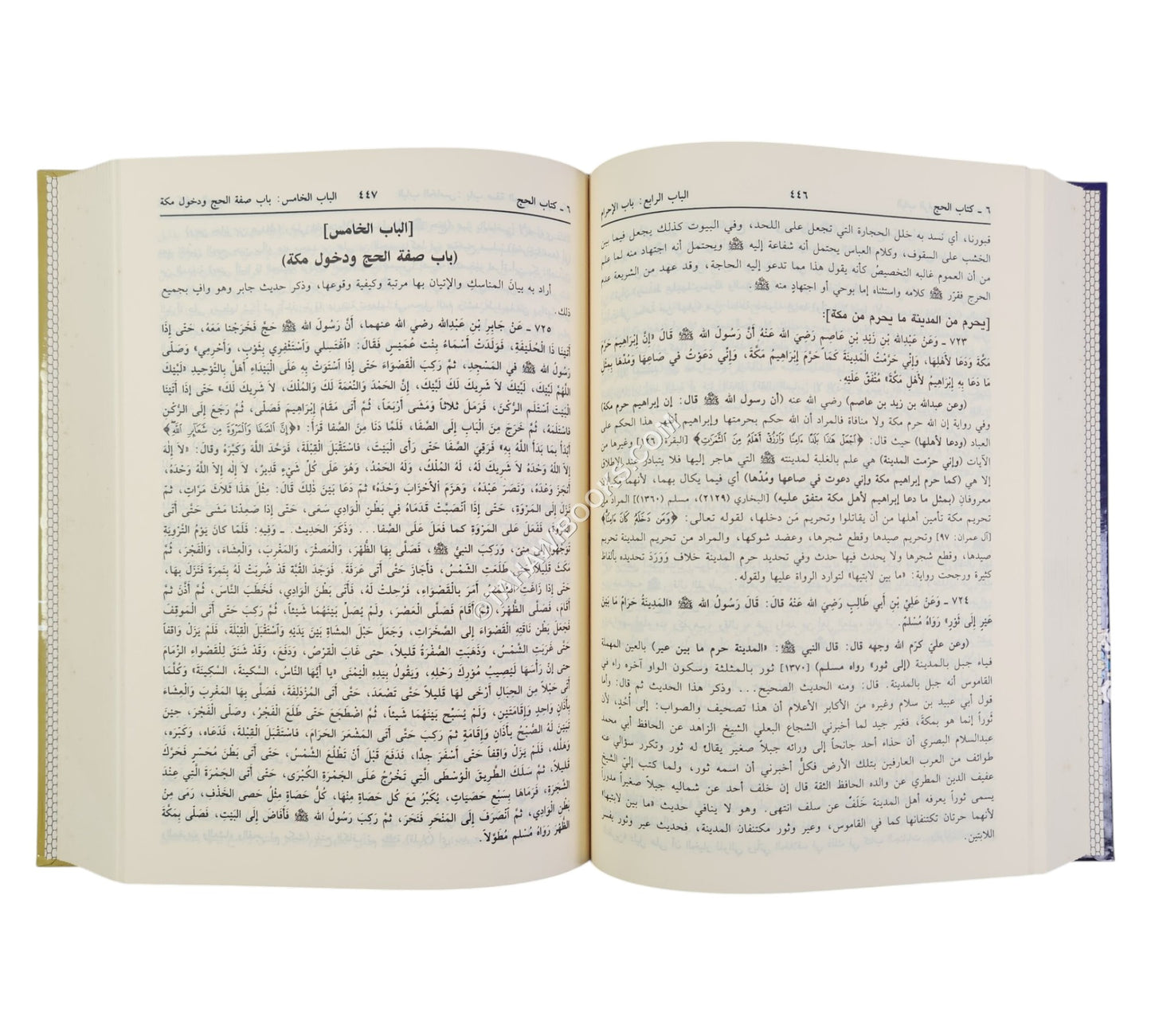 فتح العلام لشرح بلوغ المرام