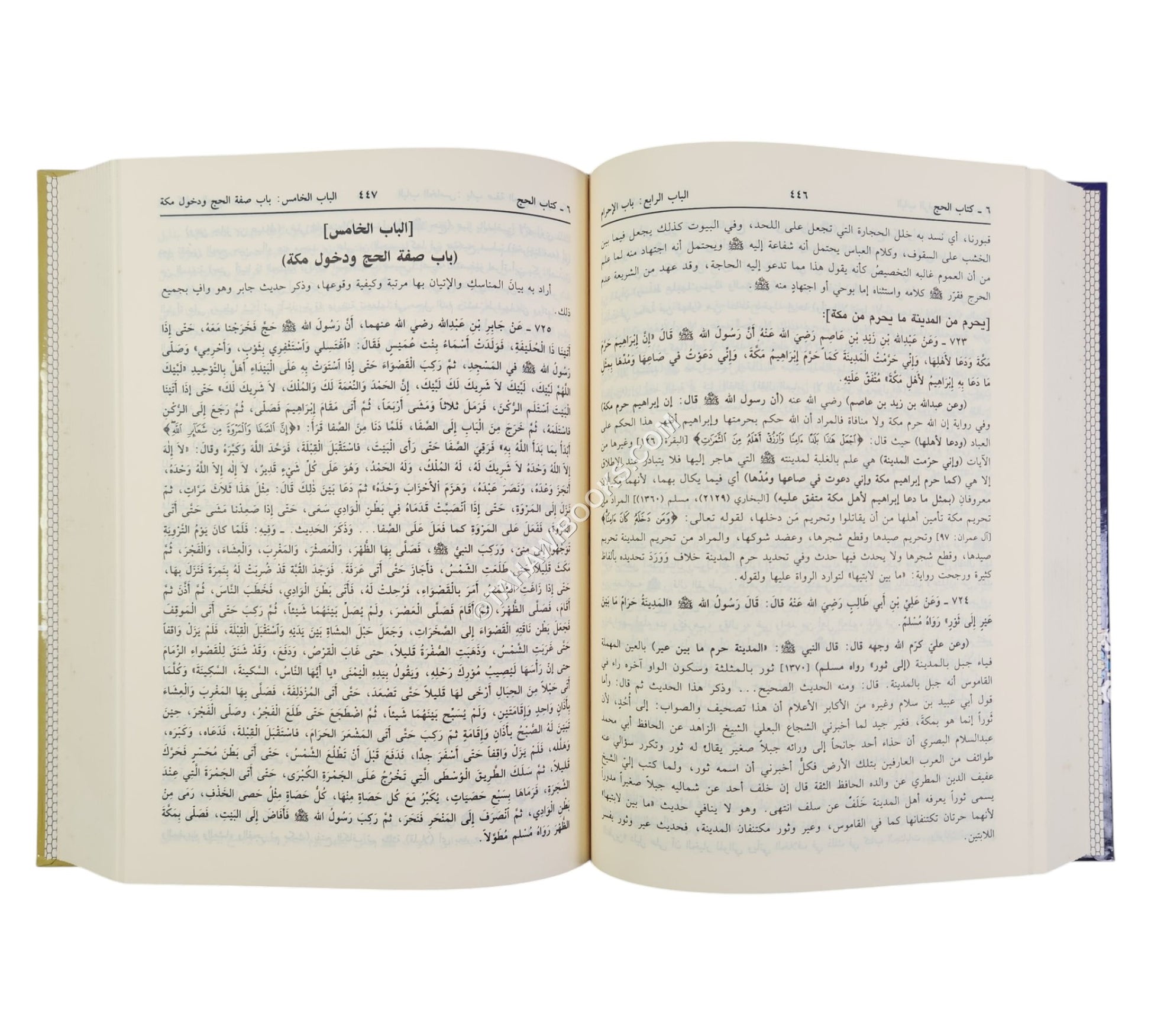 فتح العلام لشرح بلوغ المرام