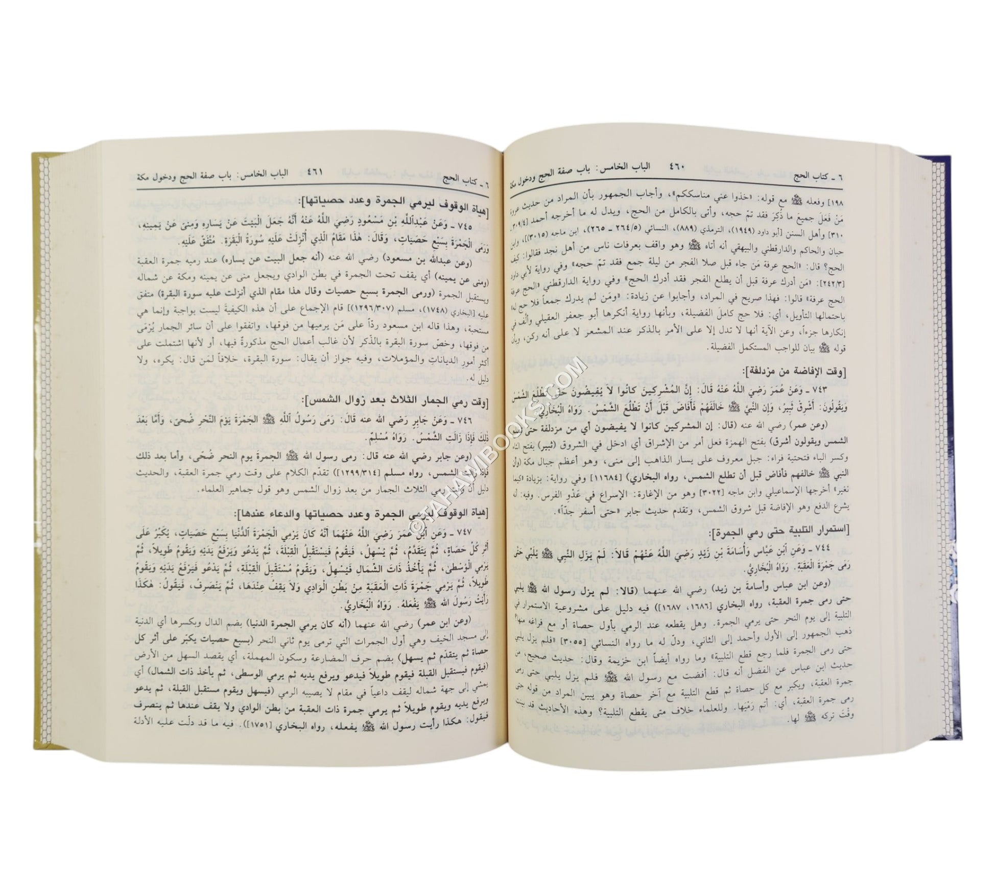 فتح العلام لشرح بلوغ المرام