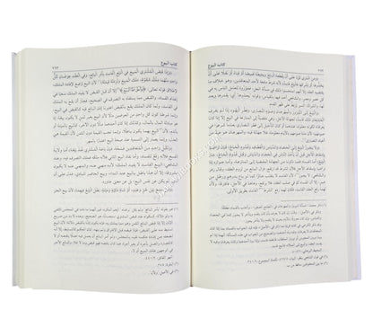 التعليق على أحاديث خلاصة الدلائل في تنقيح المسائل