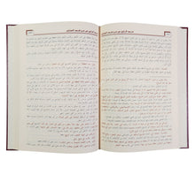 تدريب الراوي في شرح تقريب النواوي-ابن حزم