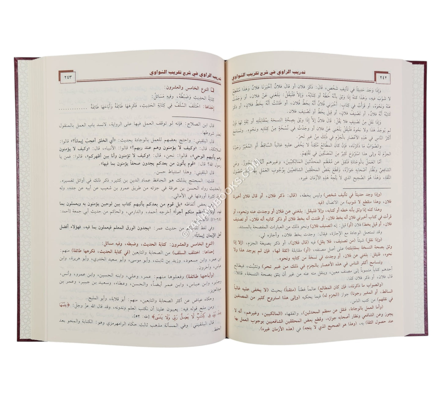 تدريب الراوي في شرح تقريب النواوي-ابن حزم