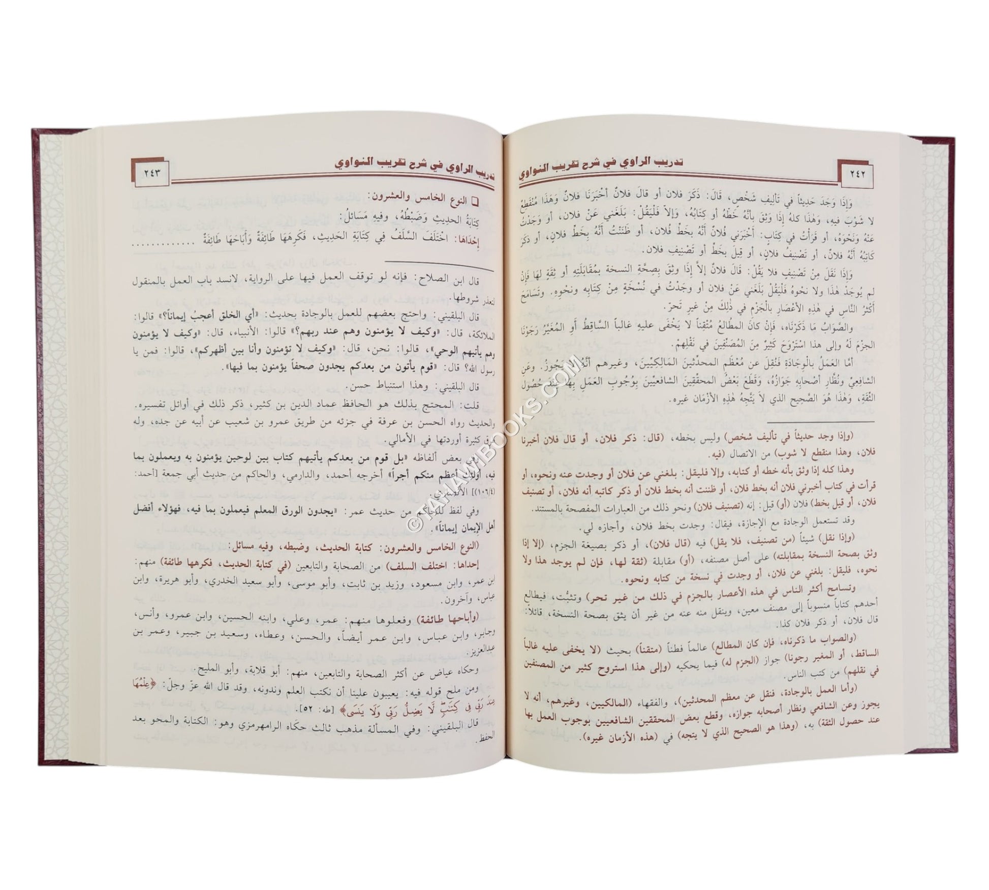 تدريب الراوي في شرح تقريب النواوي-ابن حزم