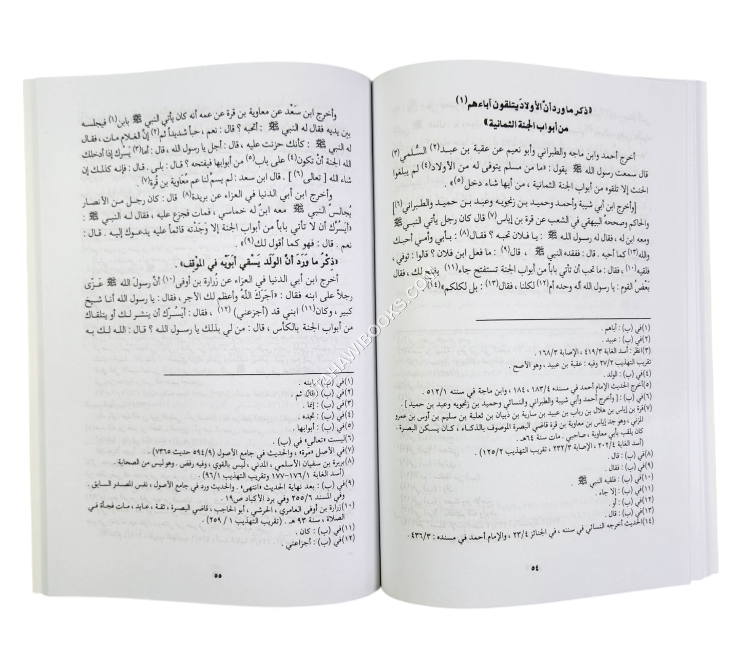 فضل الجلد عند فقد الولد