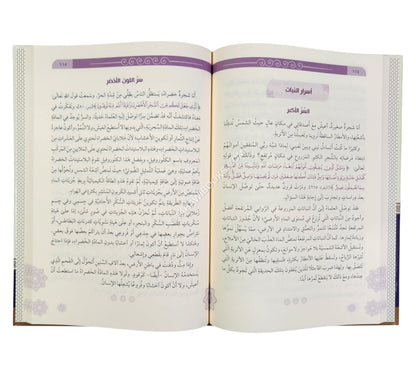 حكايات وأسرار وقصص قرآنية