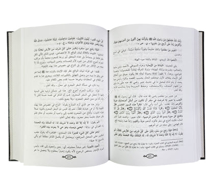 تحفة المخلصين بشرح عدة الحصن الحصين من كلام سيد المرسلين-ابن حزم