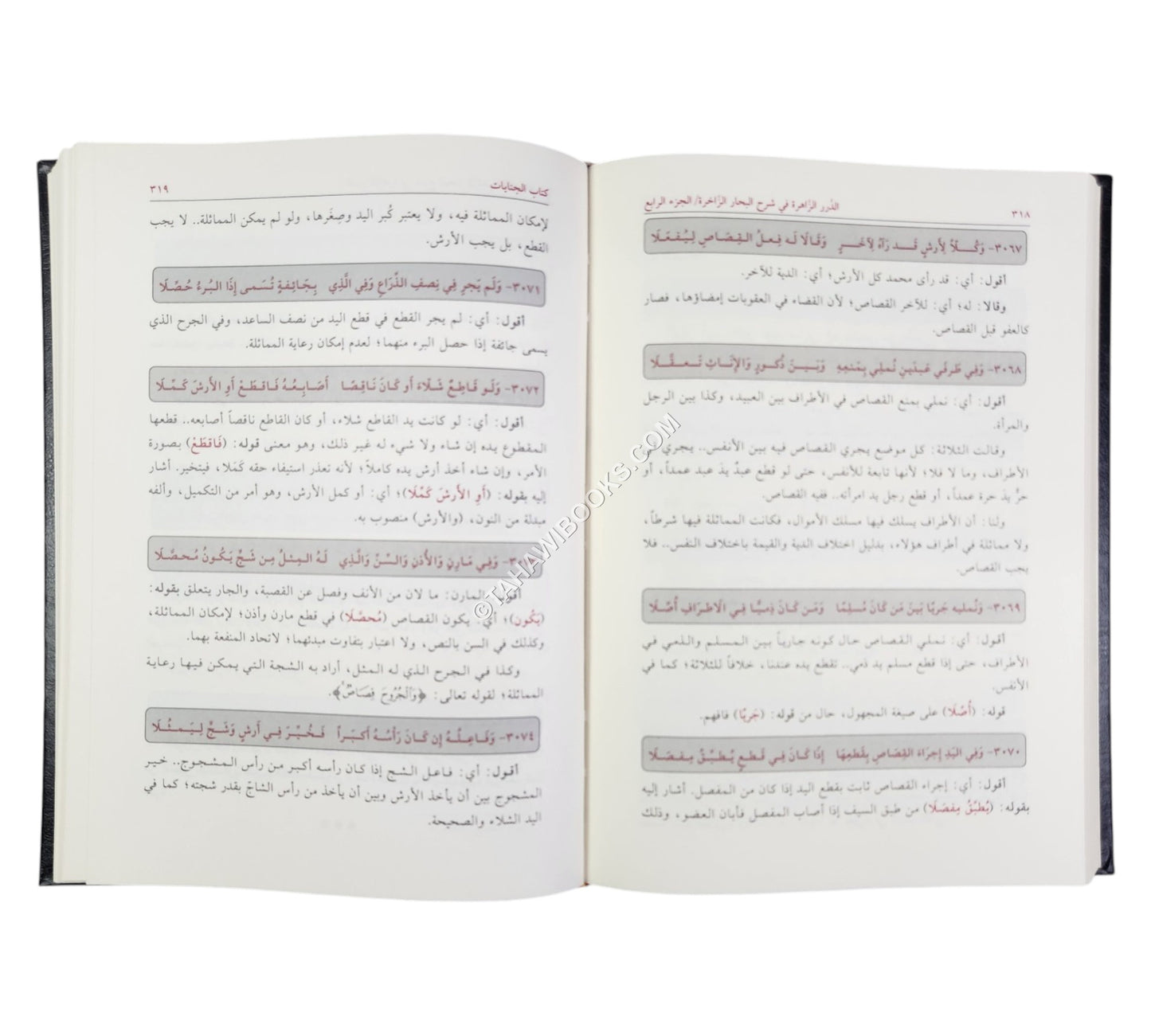 الدرر الزاهرة في شرح البحار الزاخرة