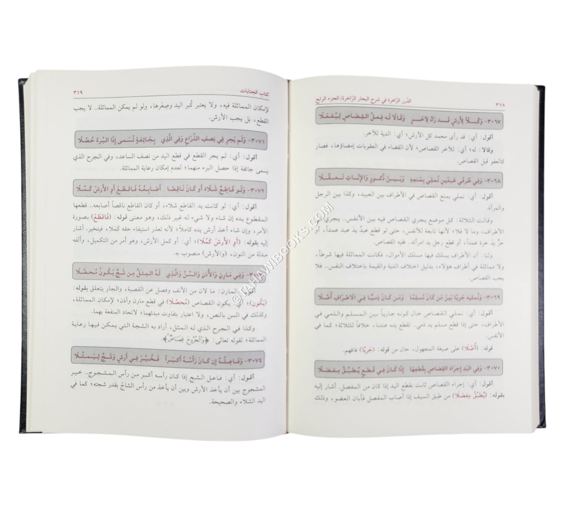 الدرر الزاهرة في شرح البحار الزاخرة