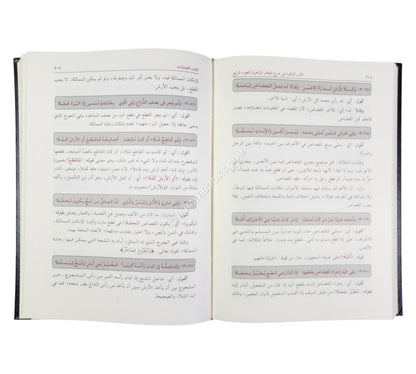الدرر الزاهرة في شرح البحار الزاخرة