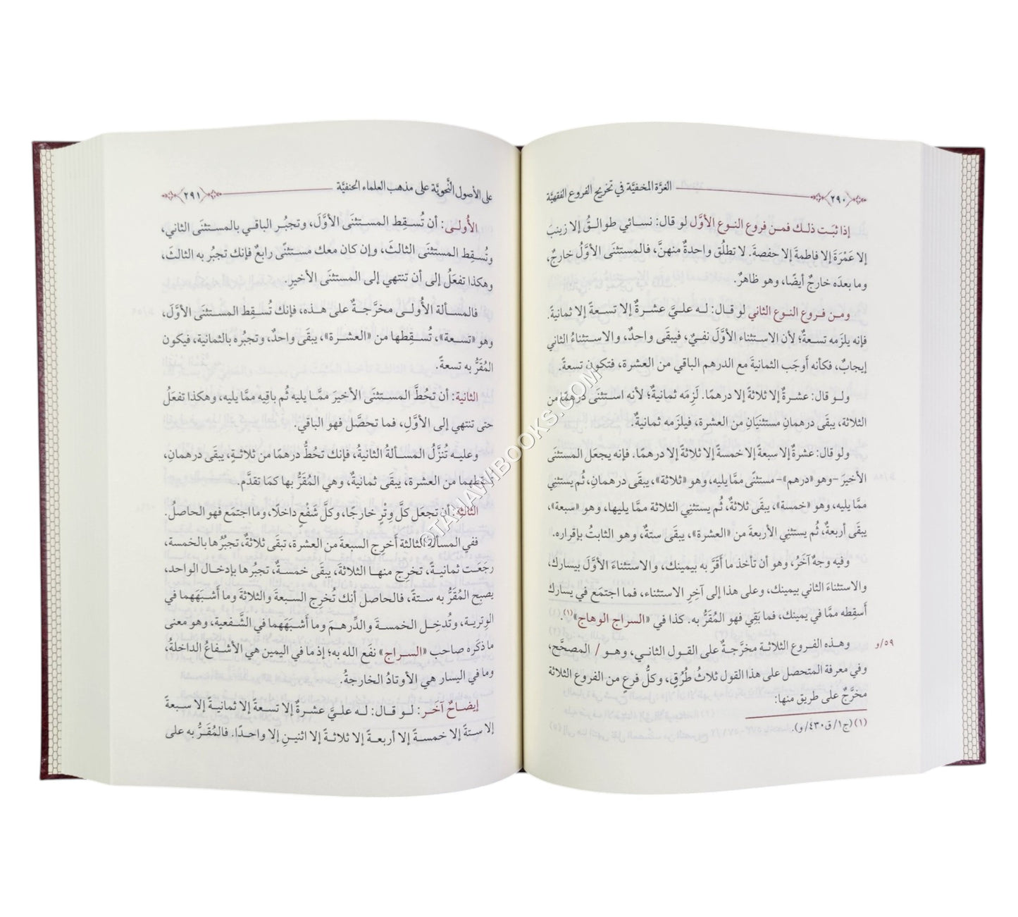 الغرة المخفية في تخريج الفروع الفقهية على الأصول النحوية على مذهب العلماء الحنفية