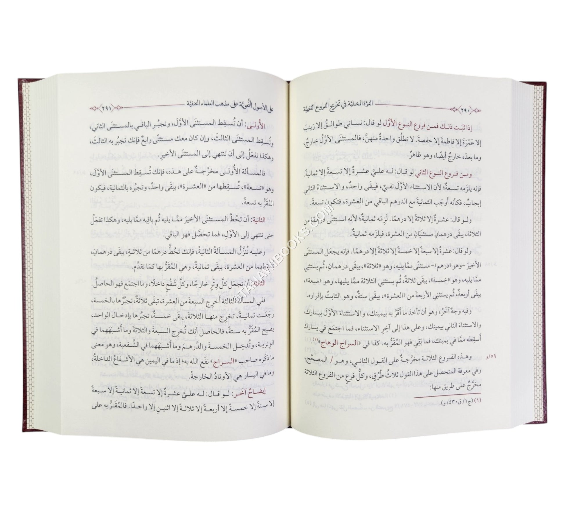 الغرة المخفية في تخريج الفروع الفقهية على الأصول النحوية على مذهب العلماء الحنفية