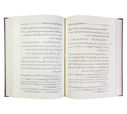 الغرة المخفية في تخريج الفروع الفقهية على الأصول النحوية على مذهب العلماء الحنفية