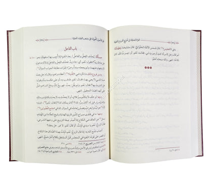 الغرة المخفية في تخريج الفروع الفقهية على الأصول النحوية على مذهب العلماء الحنفية